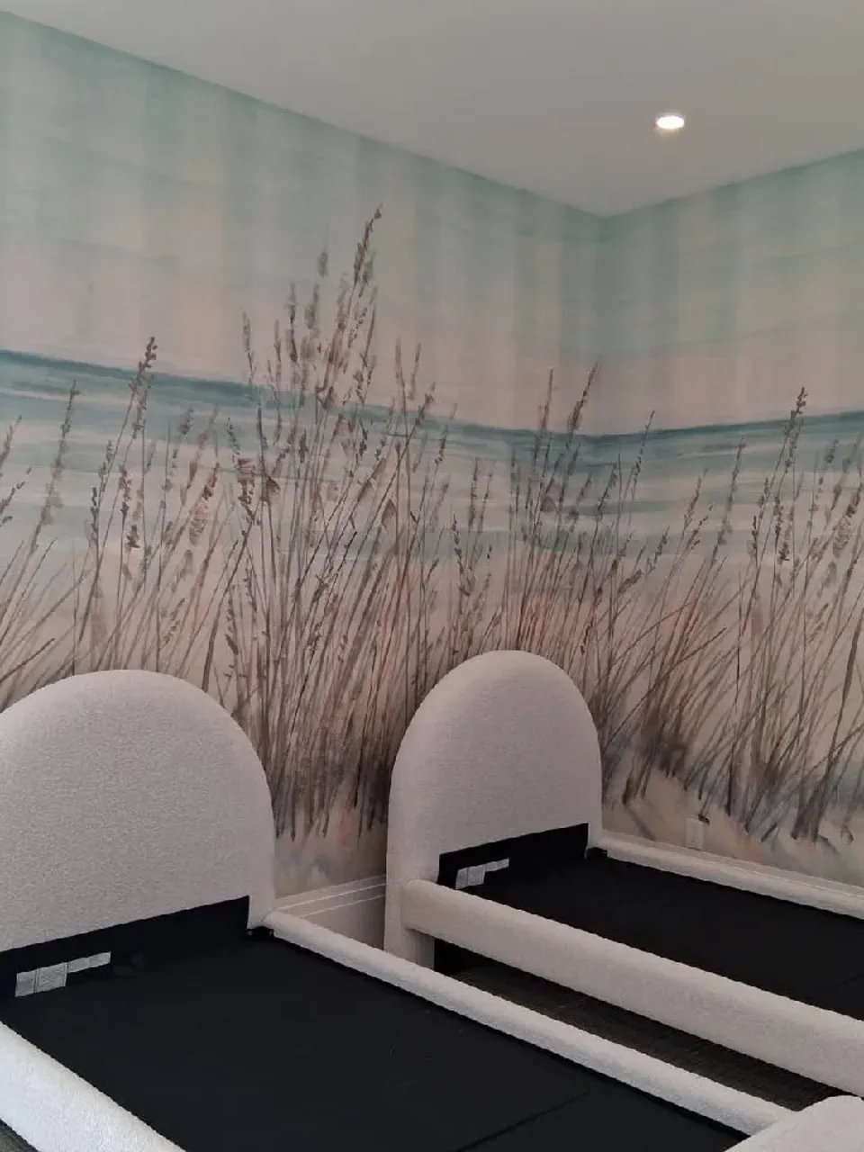 Professional wallpaper service in Frisco TX
